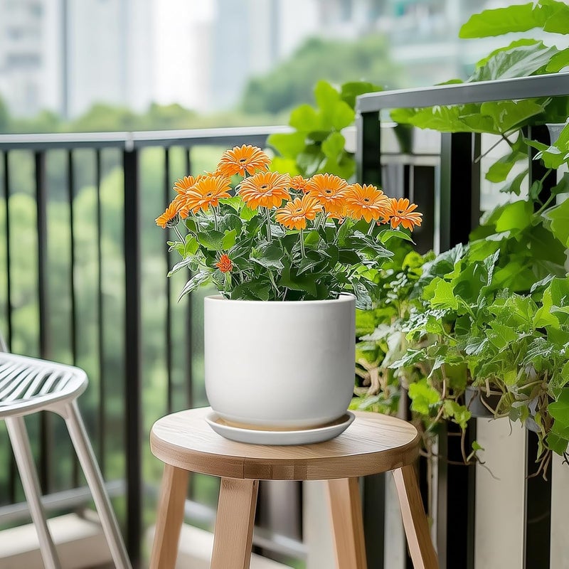 SUNPOTFOR Store Ceramic Pot for Plants 7 Inch - Modern Round Indoor Outdoor Planter with Drainage Hole and Saucer, Home House Office Room Decor, White - Image 5